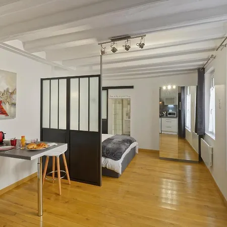 Apartamento Hyper Centre Place Imbach Angers