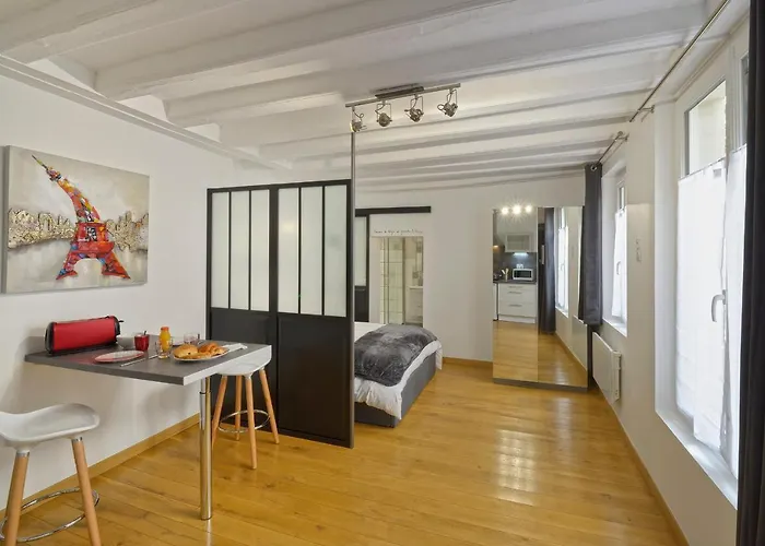 Apartment Hyper Centre Place Imbach Angers