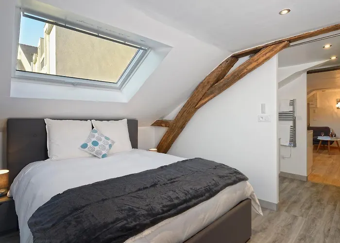 Hyper Centre Place Imbach Apartment Angers